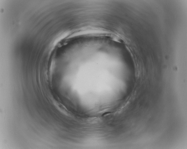 X0000071380050200607212222