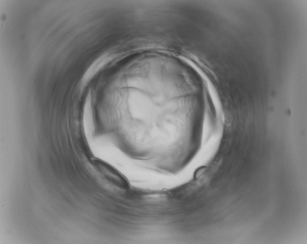 X0000071380053200607212223