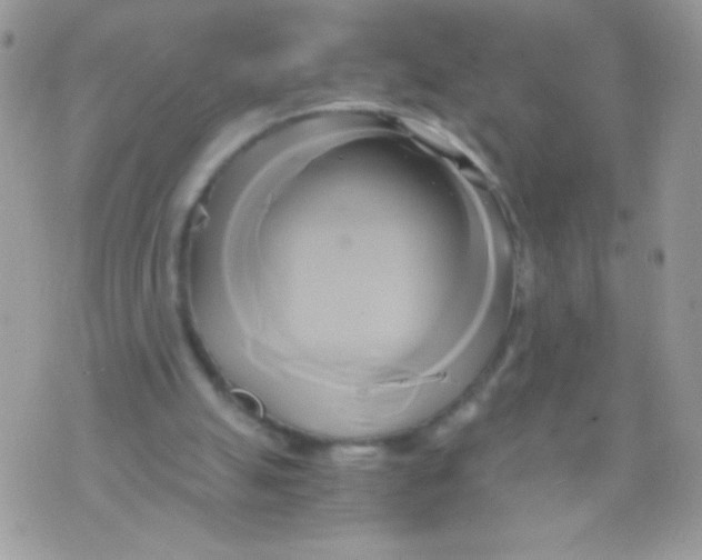 X0000071380055200607212223