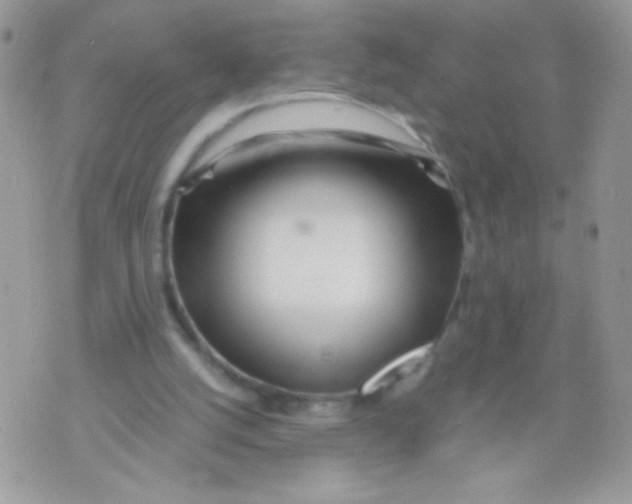 X0000071380056200607212223