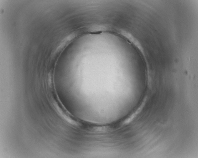 X0000071380057200607212223