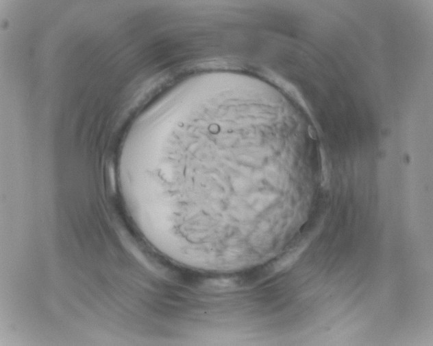 X0000071380061200607212223