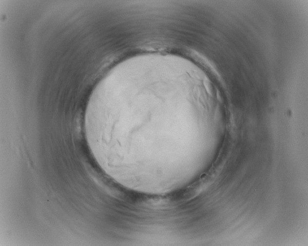 X0000071380065200607212223