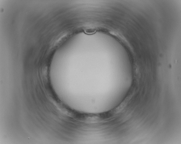 X0000071380066200607212223