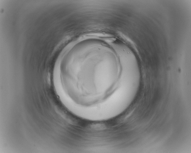 X0000071380067200607212223