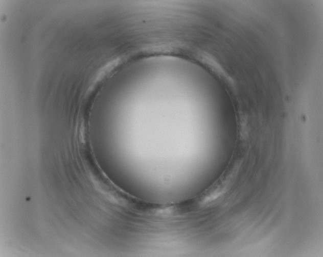 X0000071380068200607212223