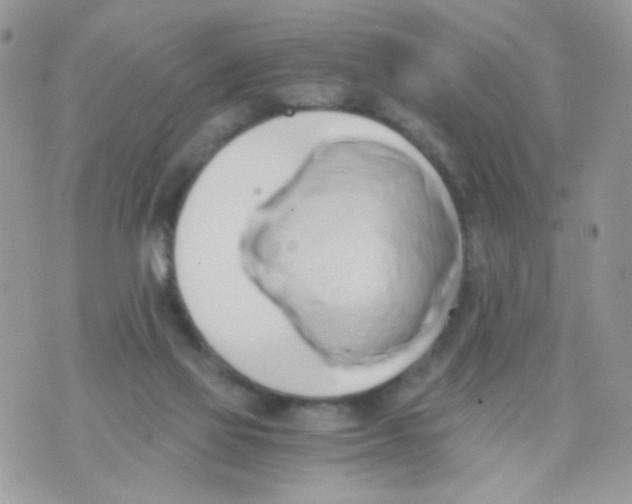 X0000071380069200607212223