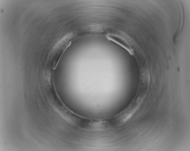 X0000071380072200607212223