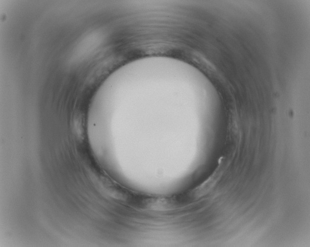 X0000071380074200607212223