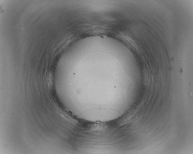 X0000071380077200607212223