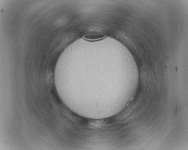 X0000071380079200607212223