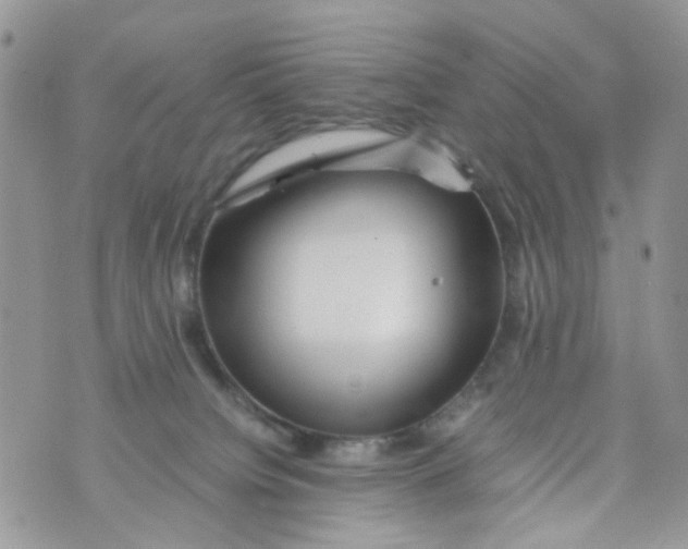 X0000071380084200607212223