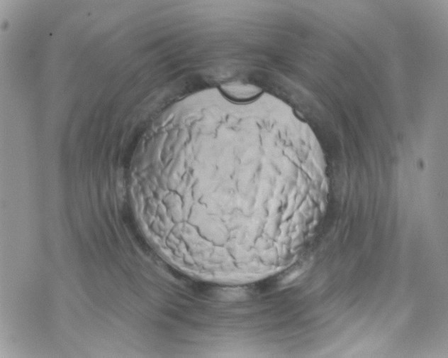 X0000071380085200607212223