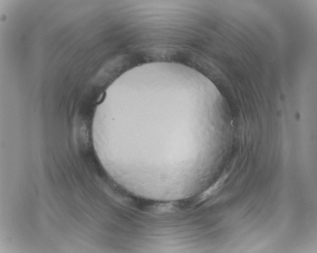 X0000071380086200607212223