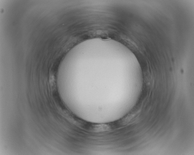 X0000071380087200607212223