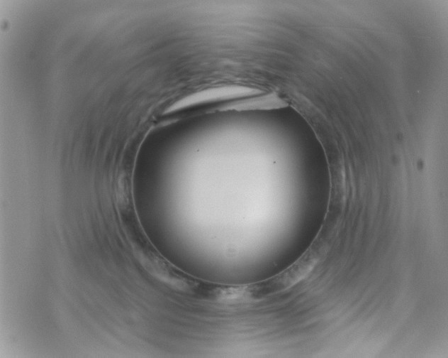 X0000071380088200607212223