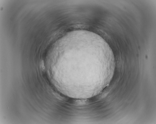 X0000071380089200607212223