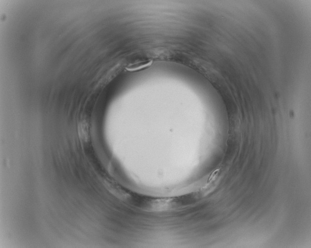 X0000071380090200607212223