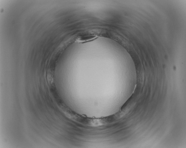 X0000071380091200607212223