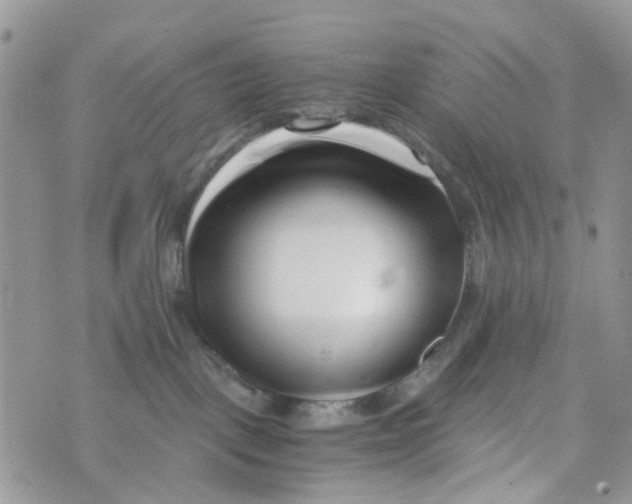 X0000071380093200607212223