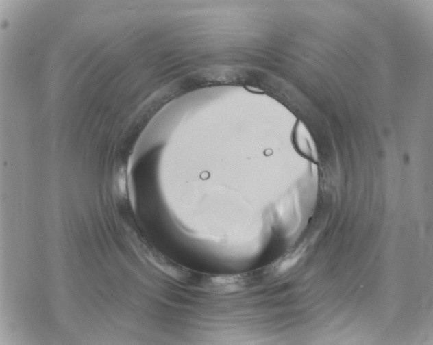 X0000071380095200607212223