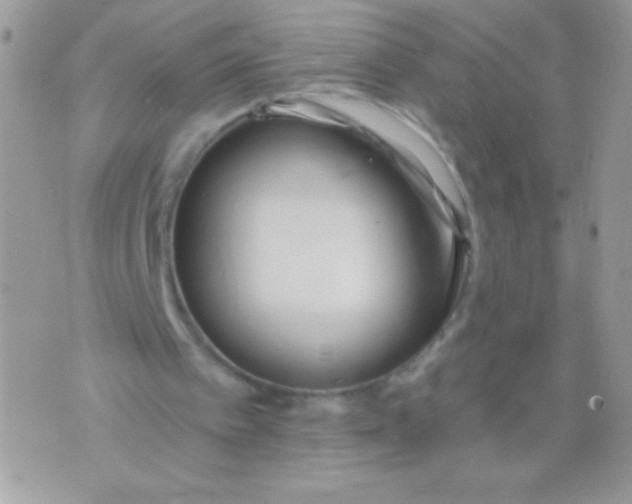 X0000071380097200607212222