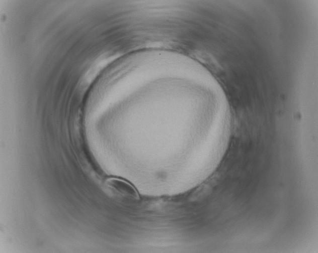 X0000071380098200607212222