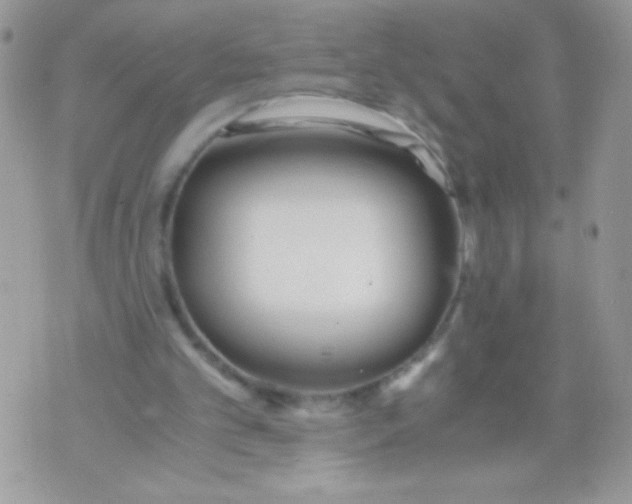 X0000071380101200607212222