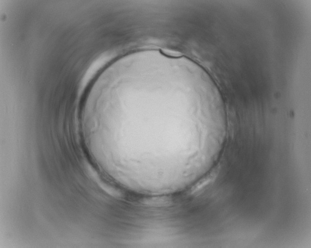 X0000071380102200607212222