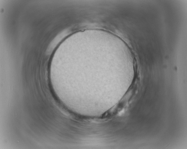 X0000071380103200607212222