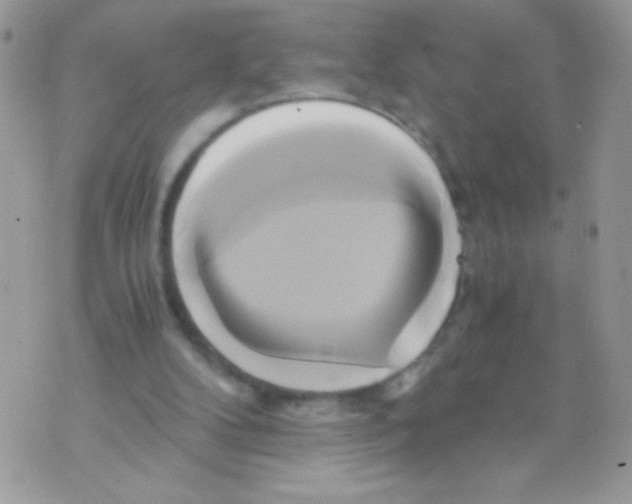 X0000071380104200607212222