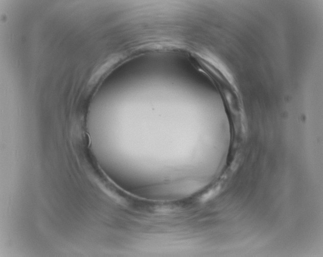 X0000071380105200607212222