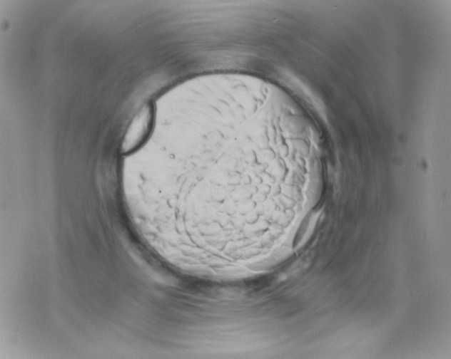 X0000071380107200607212222