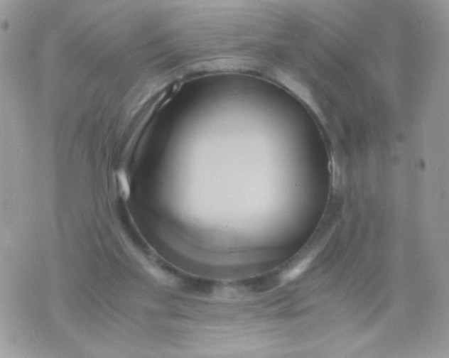 X0000071380109200607212222