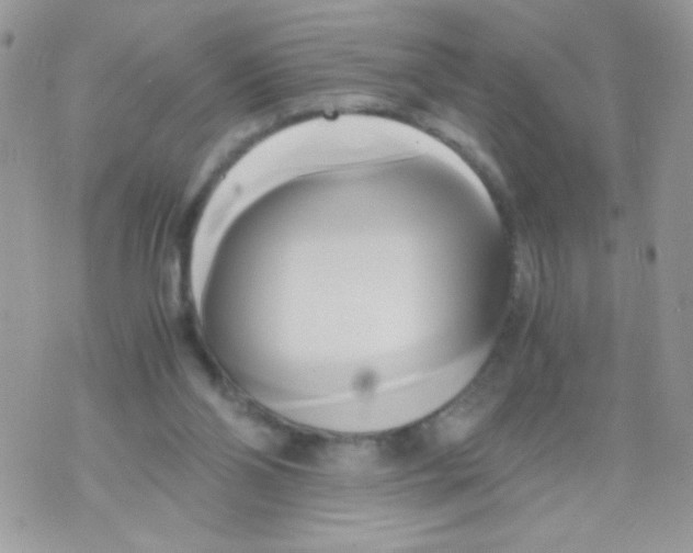 X0000071380110200607212222