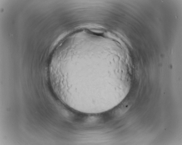 X0000071380111200607212222