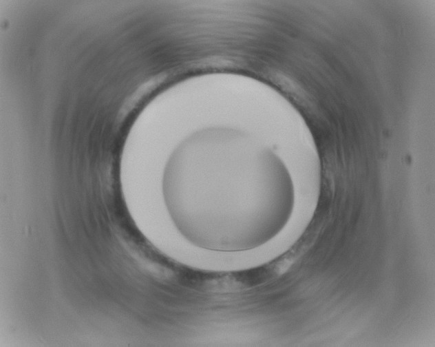 X0000071380112200607212222