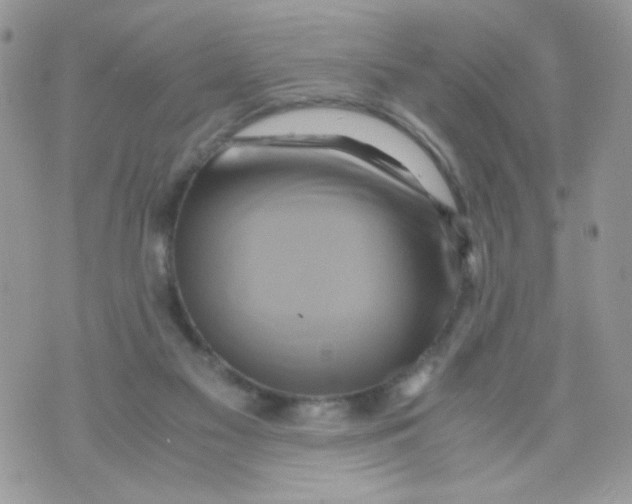 X0000071380117200607212222