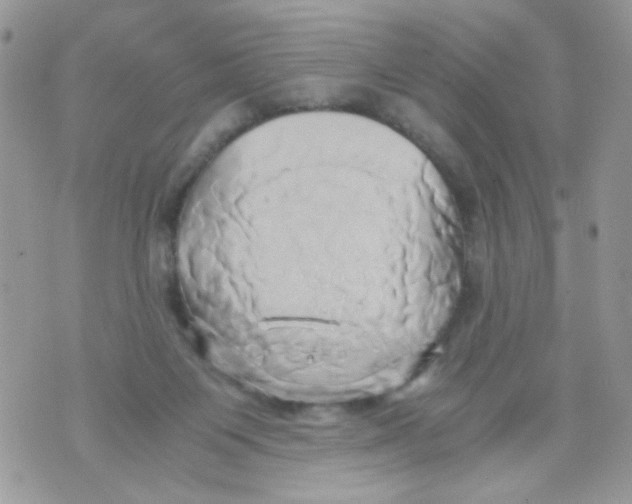 X0000071380119200607212222