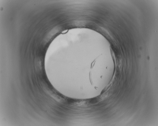 X0000071380120200607212222