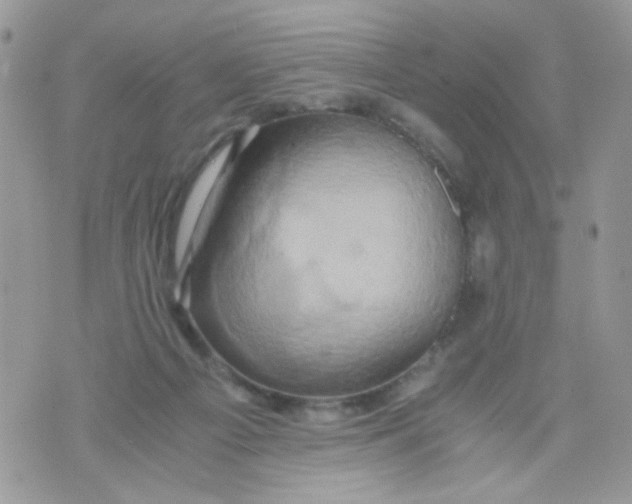 X0000071380121200607212222