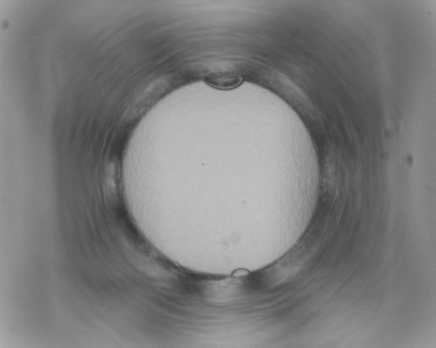 X0000071380122200607212222