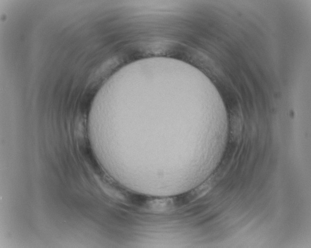 X0000071380126200607212222