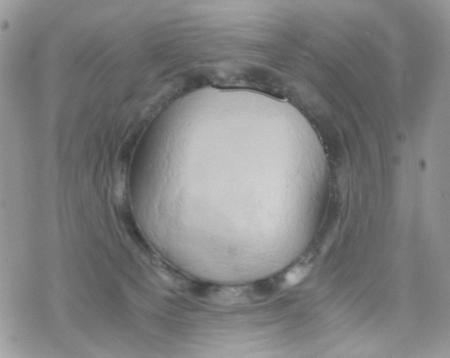 X0000071380129200607212222