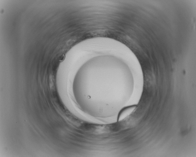 X0000071380130200607212222