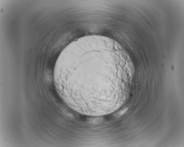 X0000071380135200607212222