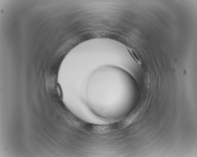 X0000071380139200607212222