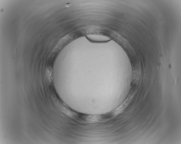 X0000071380142200607212222