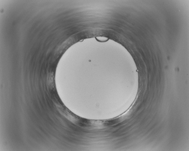 X0000071380144200607212222