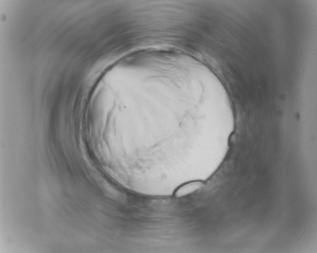 X0000071380145200607212221